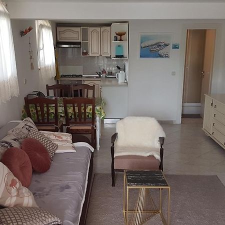 לאבין Apartment Branka מראה חיצוני תמונה